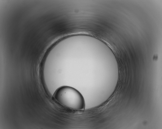 X0000103440350200809121107