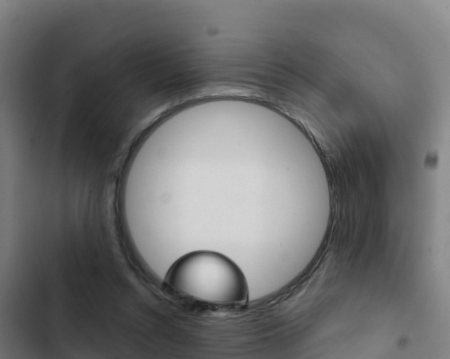 X0000103440352200809121107