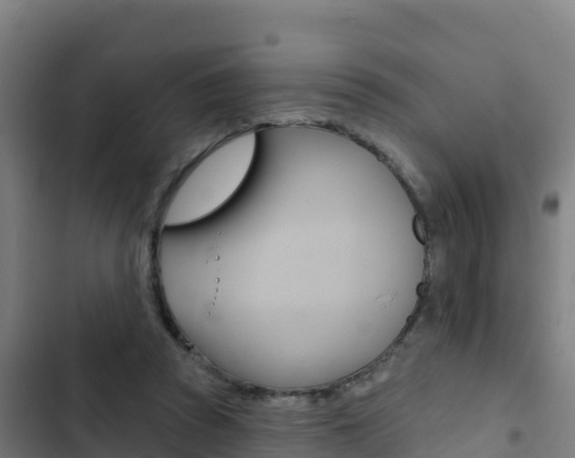 X0000103440353200809121107