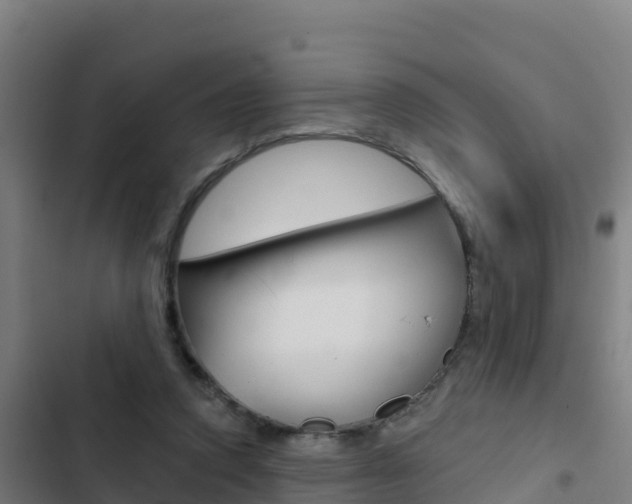 X0000103440354200809121107