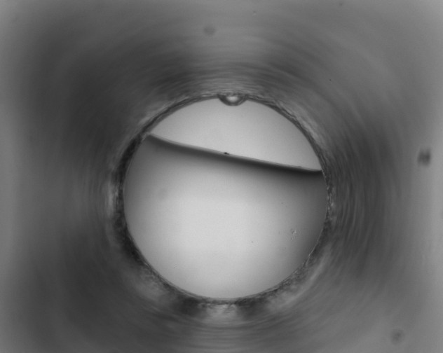 X0000103440355200809121107