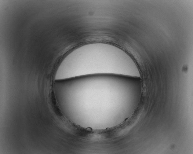 X0000103440356200809121107