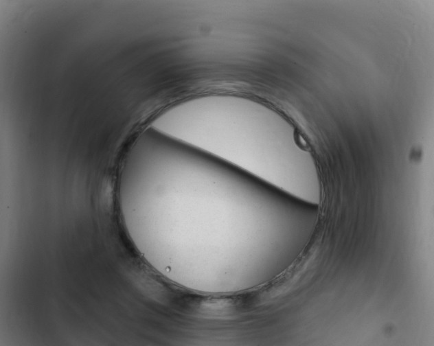 X0000103440357200809121107
