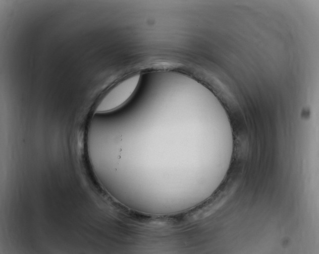 X0000103440358200809121107