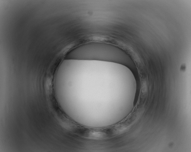 X0000103440360200809121107