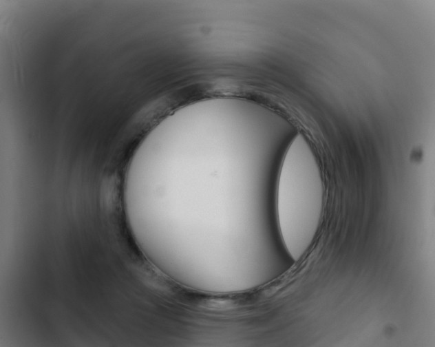 X0000103440361200809121107