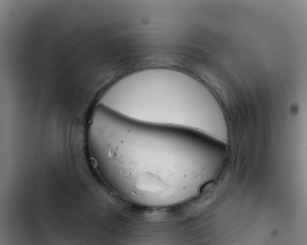 X0000103440362200809121107