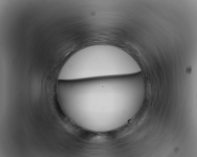 X0000103440364200809121107