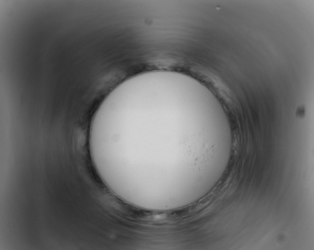 X0000103440365200809121107