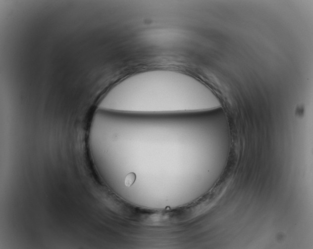 X0000103440366200809121107