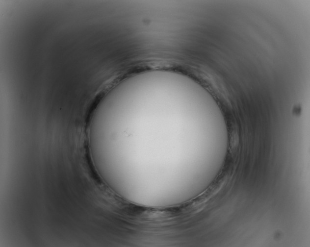 X0000103440367200809121107