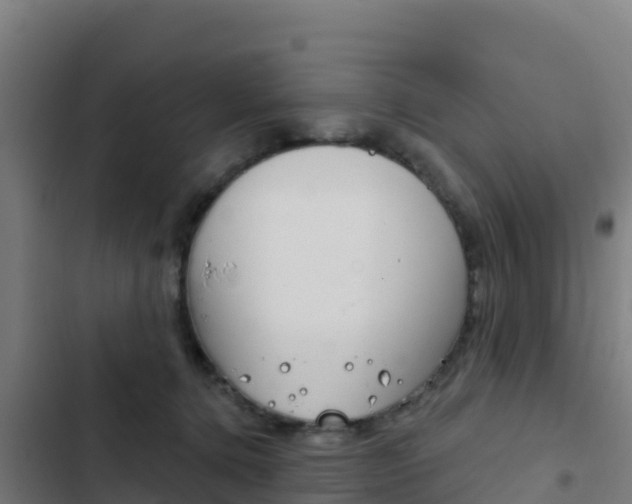 X0000103440368200809121107