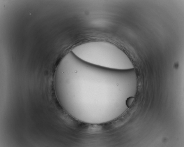 X0000103440369200809121107