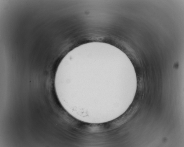 X0000103440370200809121107