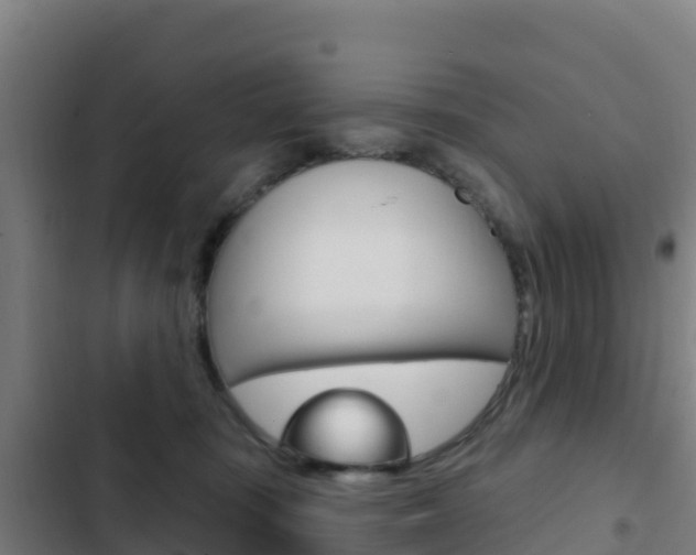 X0000103440371200809121107
