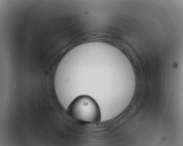 X0000103440372200809121107