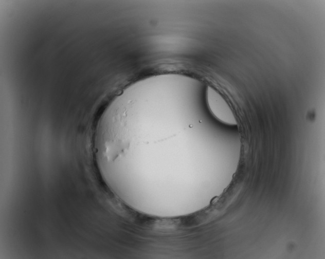 X0000103440373200809121107
