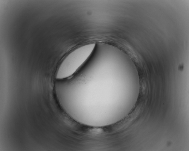 X0000103440374200809121107