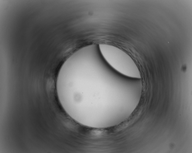 X0000103440375200809121107
