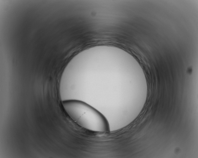 X0000103440376200809121107