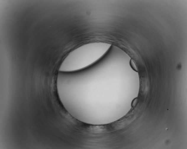 X0000103440378200809121107