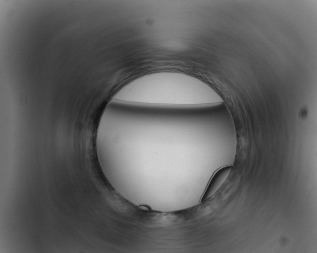 X0000103440379200809121107