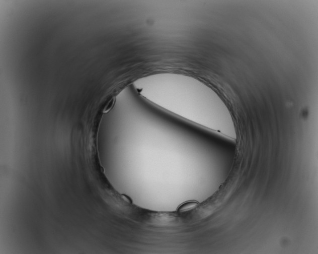 X0000103440380200809121107