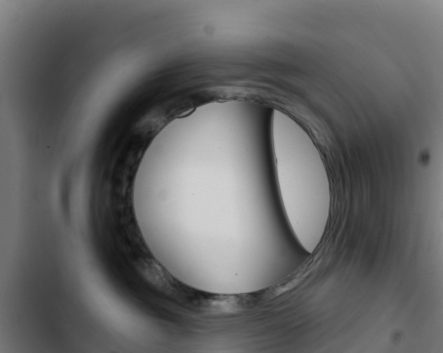 X0000103440381200809121107