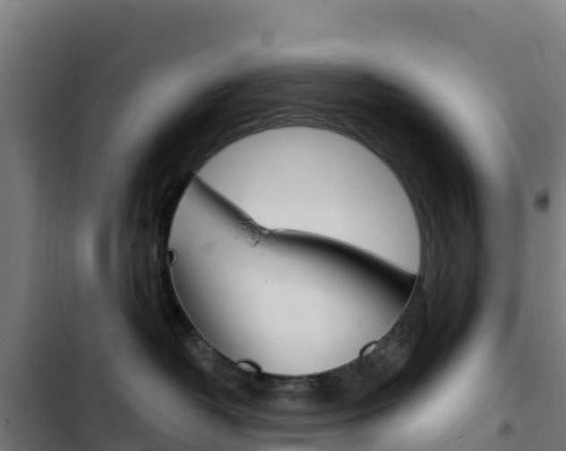 X0000103440382200809121107