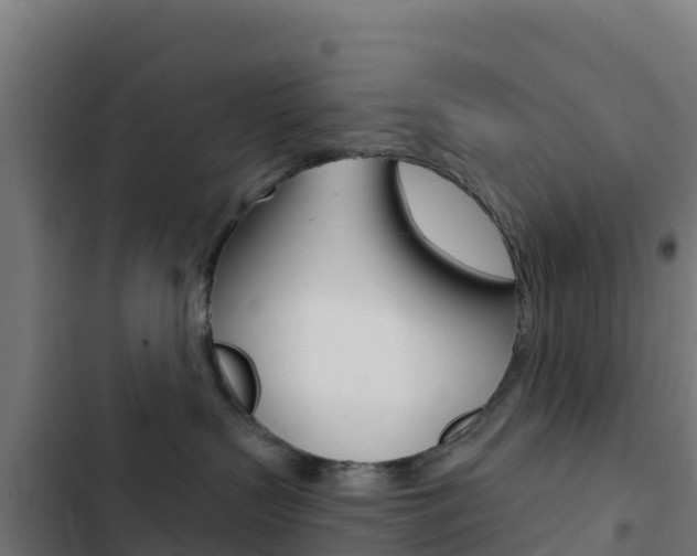 X0000103440383200809121107