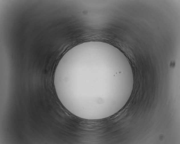 X0000103440384200809121107