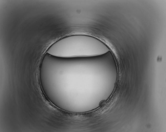 X0000103440385200809121106