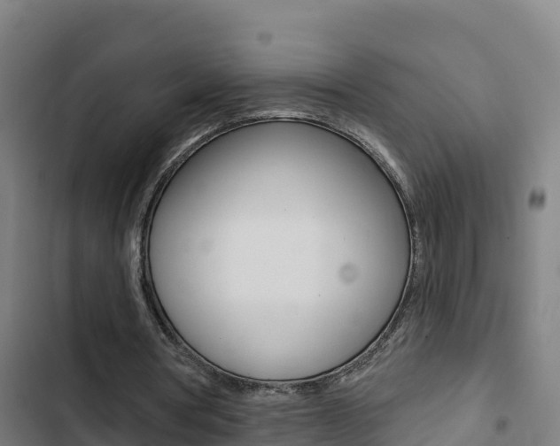 X0000103440386200809121106