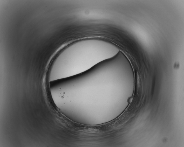 X0000103440387200809121106