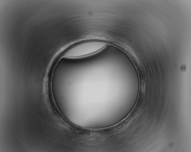 X0000103440388200809121106