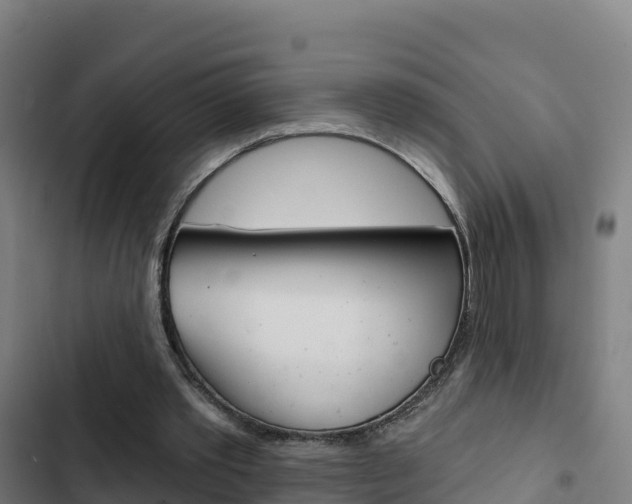 X0000103440389200809121106