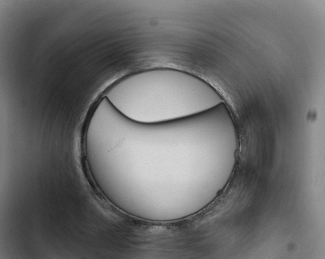 X0000103440390200809121106