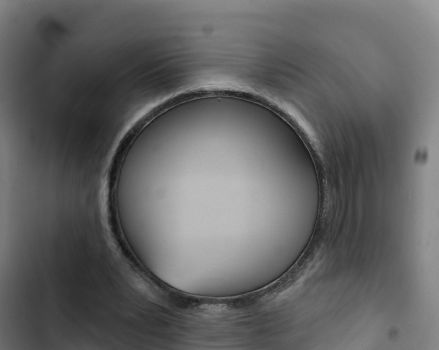 X0000103440391200809121106