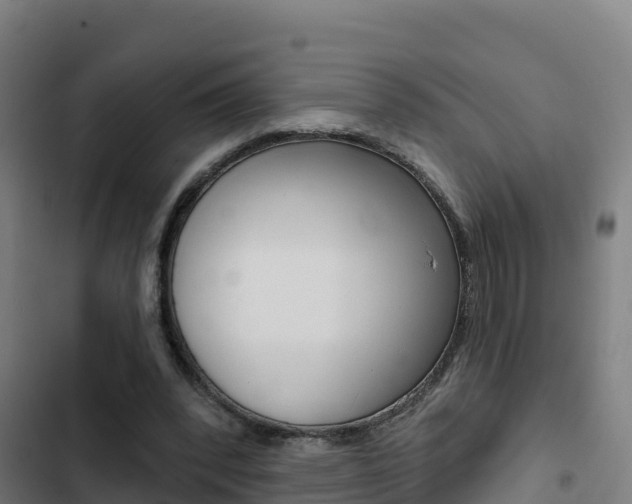 X0000103440392200809121106