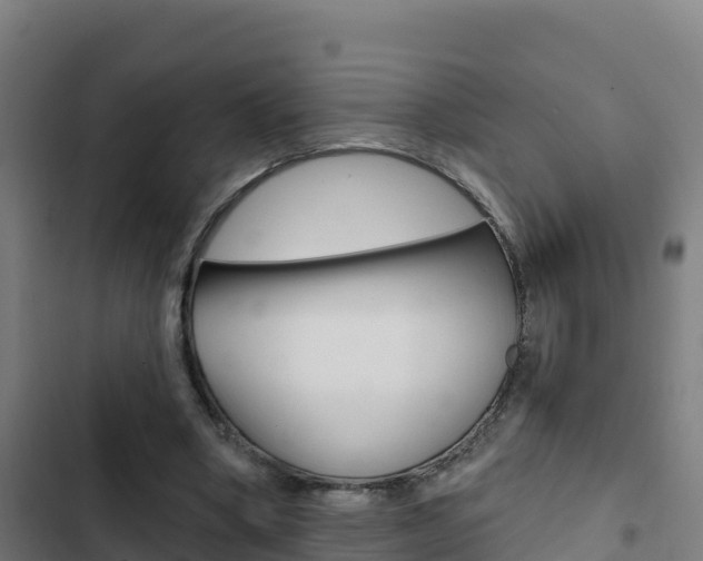 X0000103440394200809121106