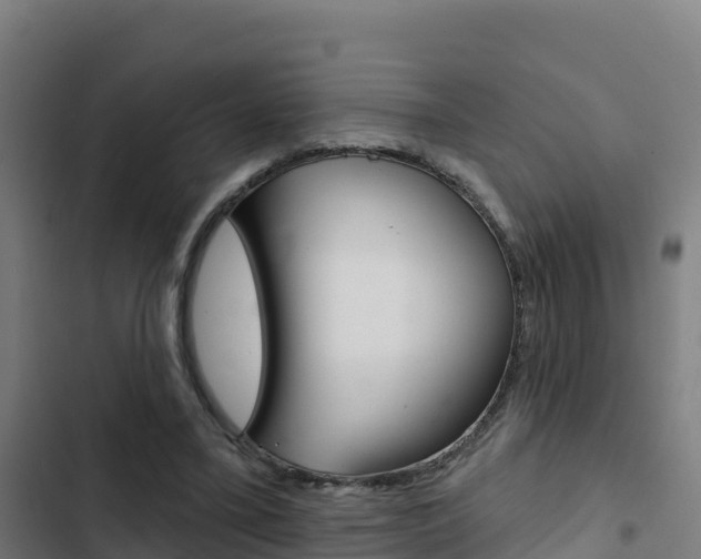 X0000103440395200809121106