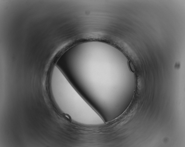 X0000103440396200809121106