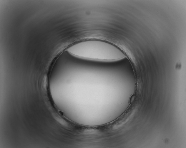 X0000103440397200809121106