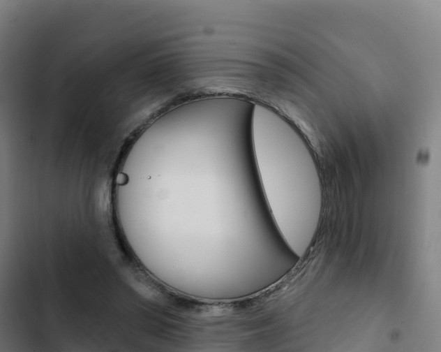 X0000103440398200809121106