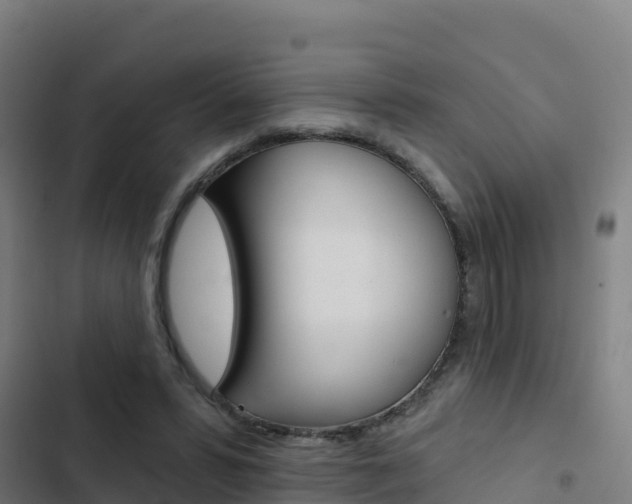 X0000103440399200809121106