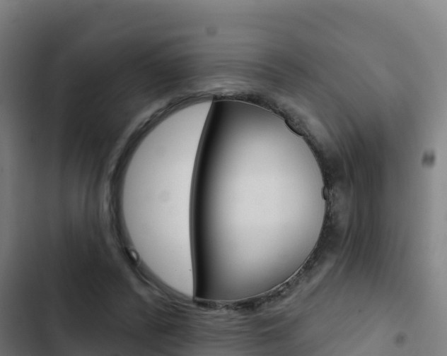 X0000103440400200809121106