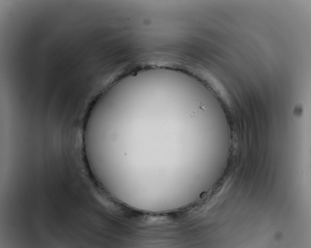 X0000103440401200809121106
