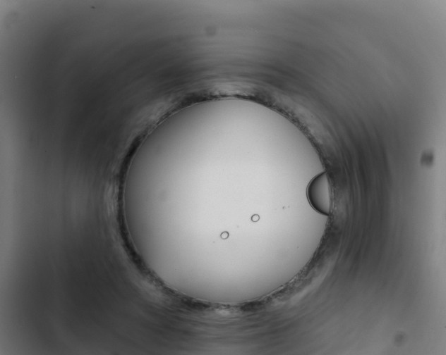 X0000103440402200809121106