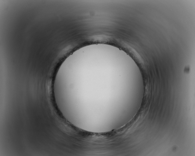 X0000103440403200809121106
