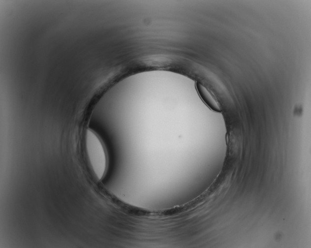 X0000103440404200809121106
